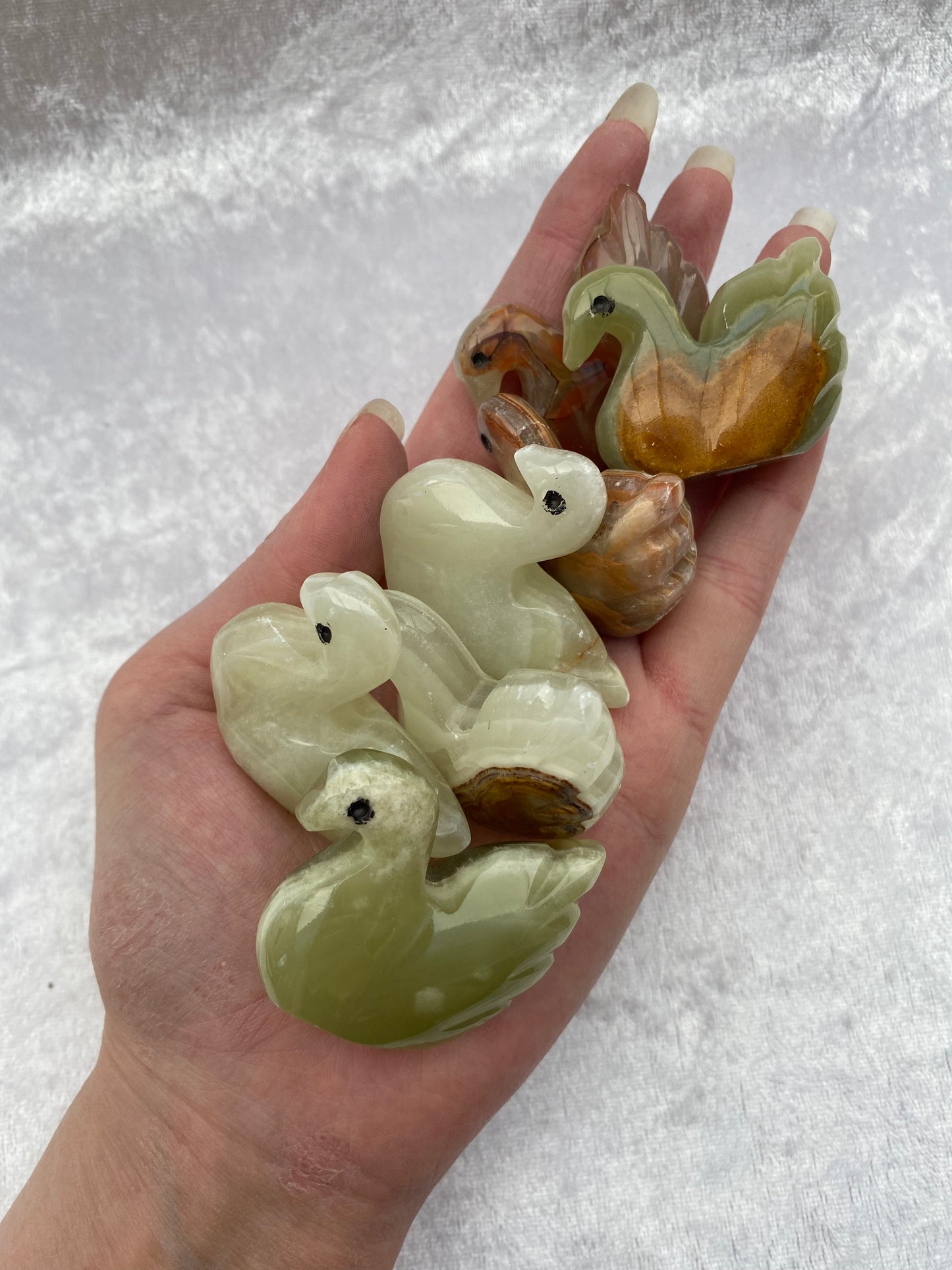 Mini Onyx swans