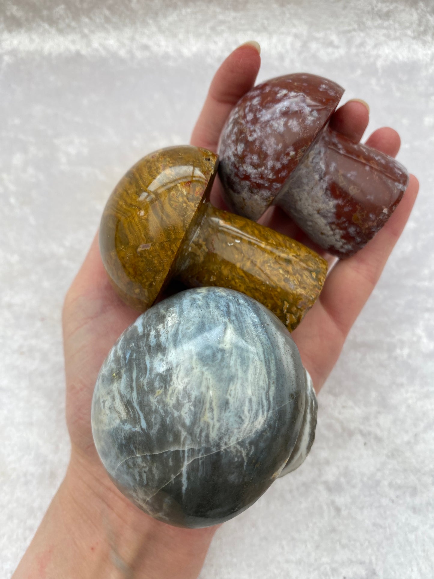 Ocean Jasper Mushrooms