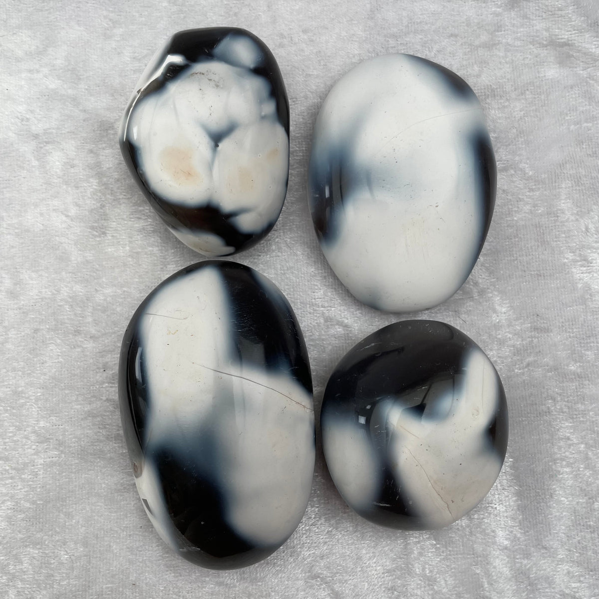 Orca Agate Palmstones