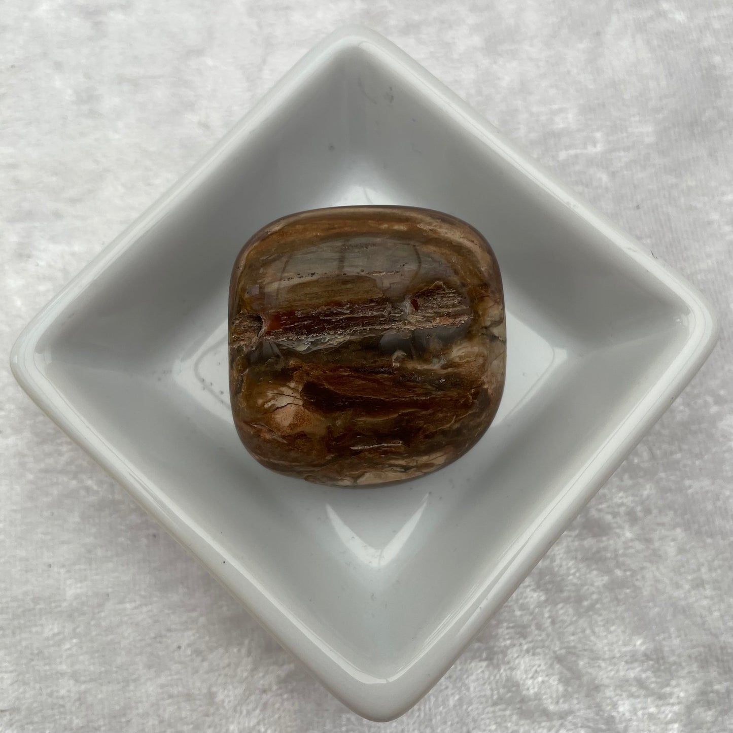 Petrified Wood Small Tumbled Freeform