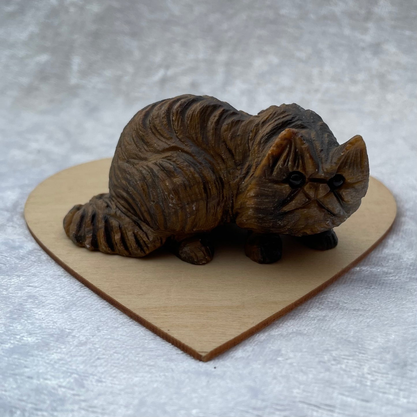 Tigers Eye Persian Cat