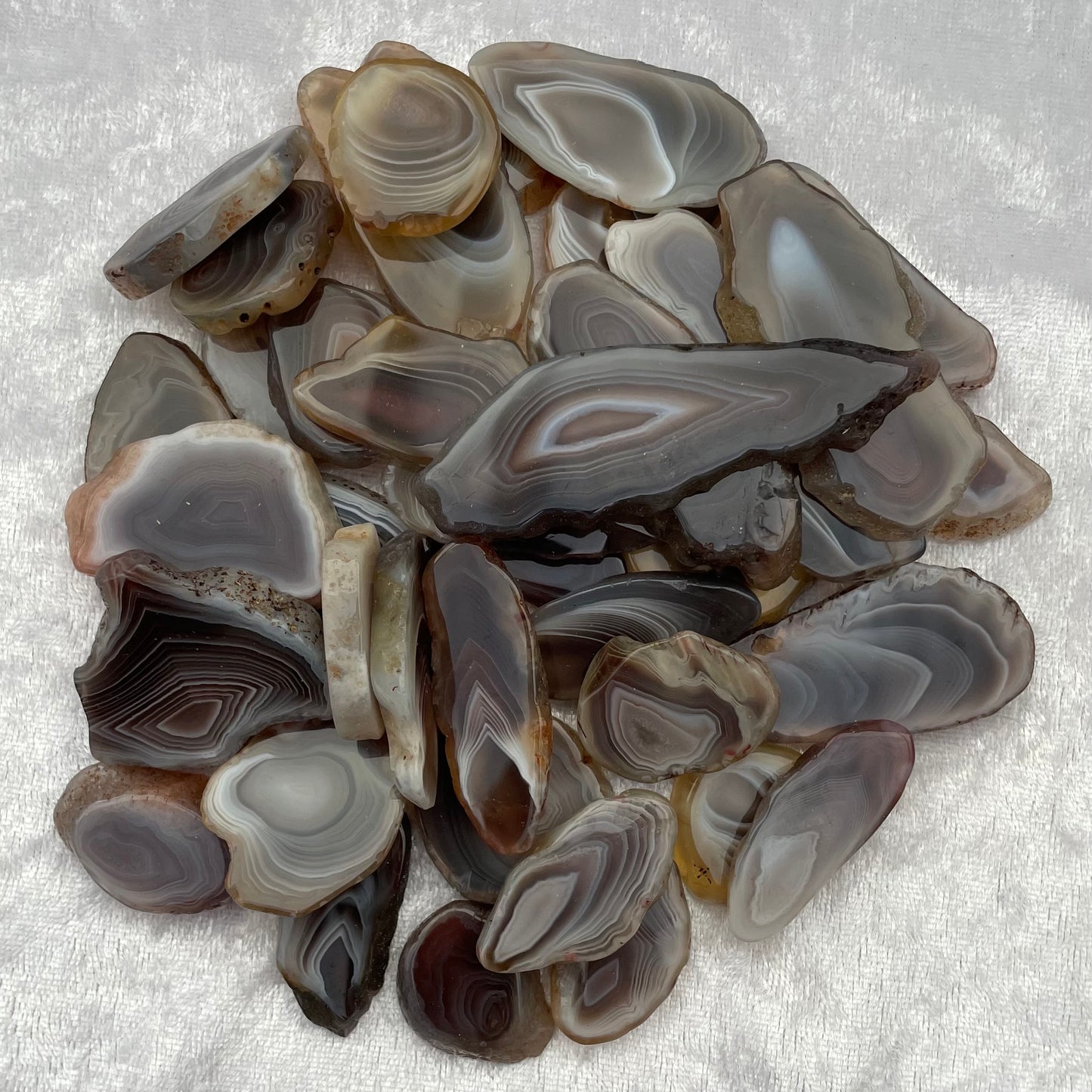 Botswana Agate Mini Slices