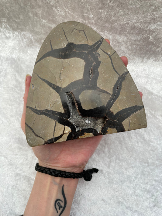 Druzy Septarian Freeform