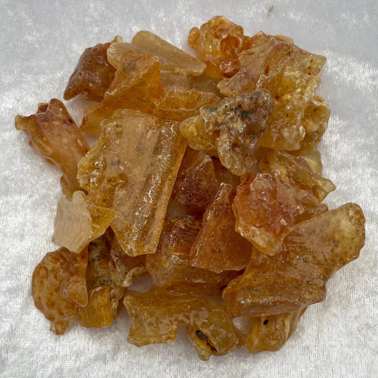 Colombian Amber Pieces