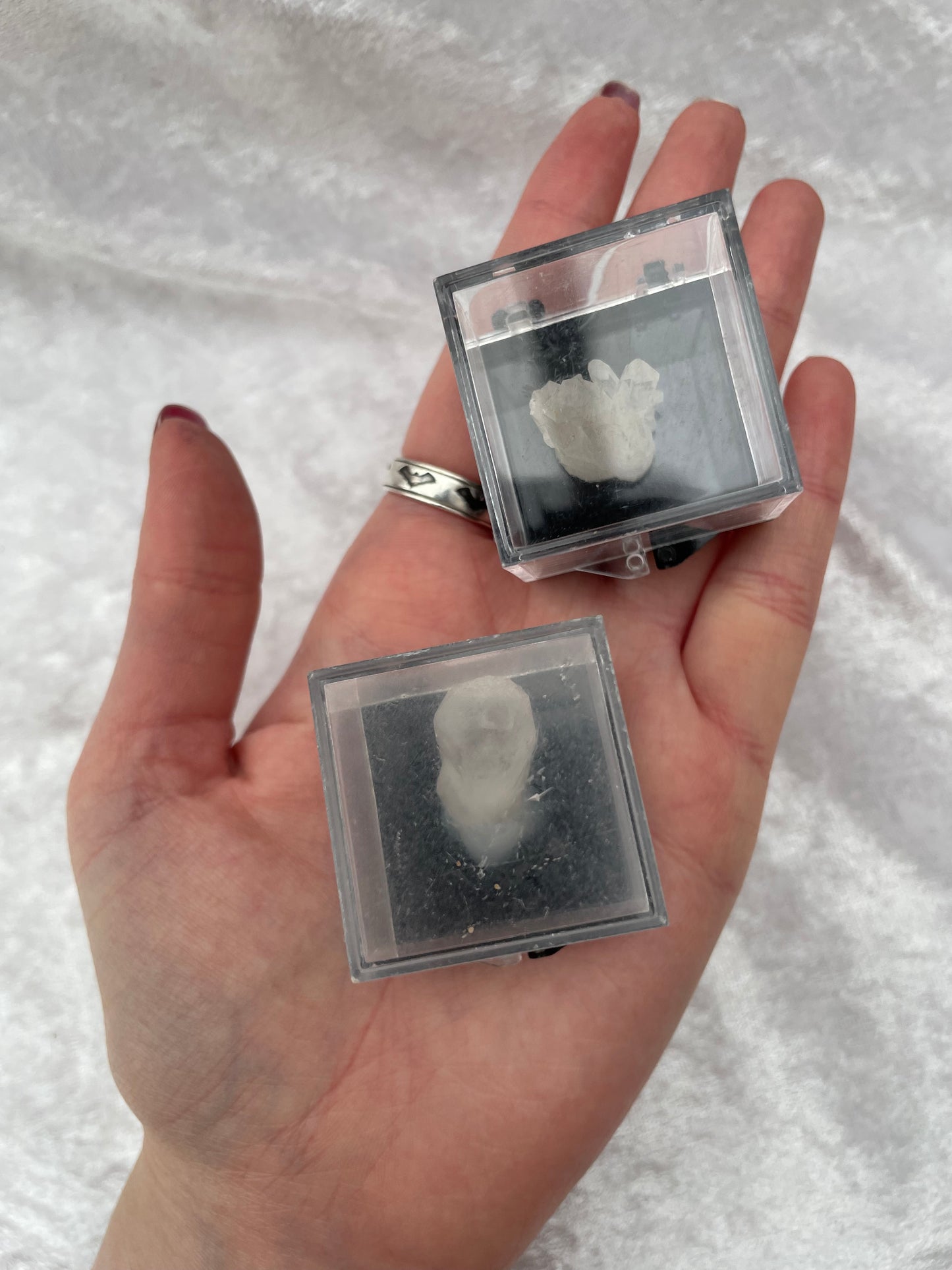 Clear Quartz Point Clusters in Specimen Boxes