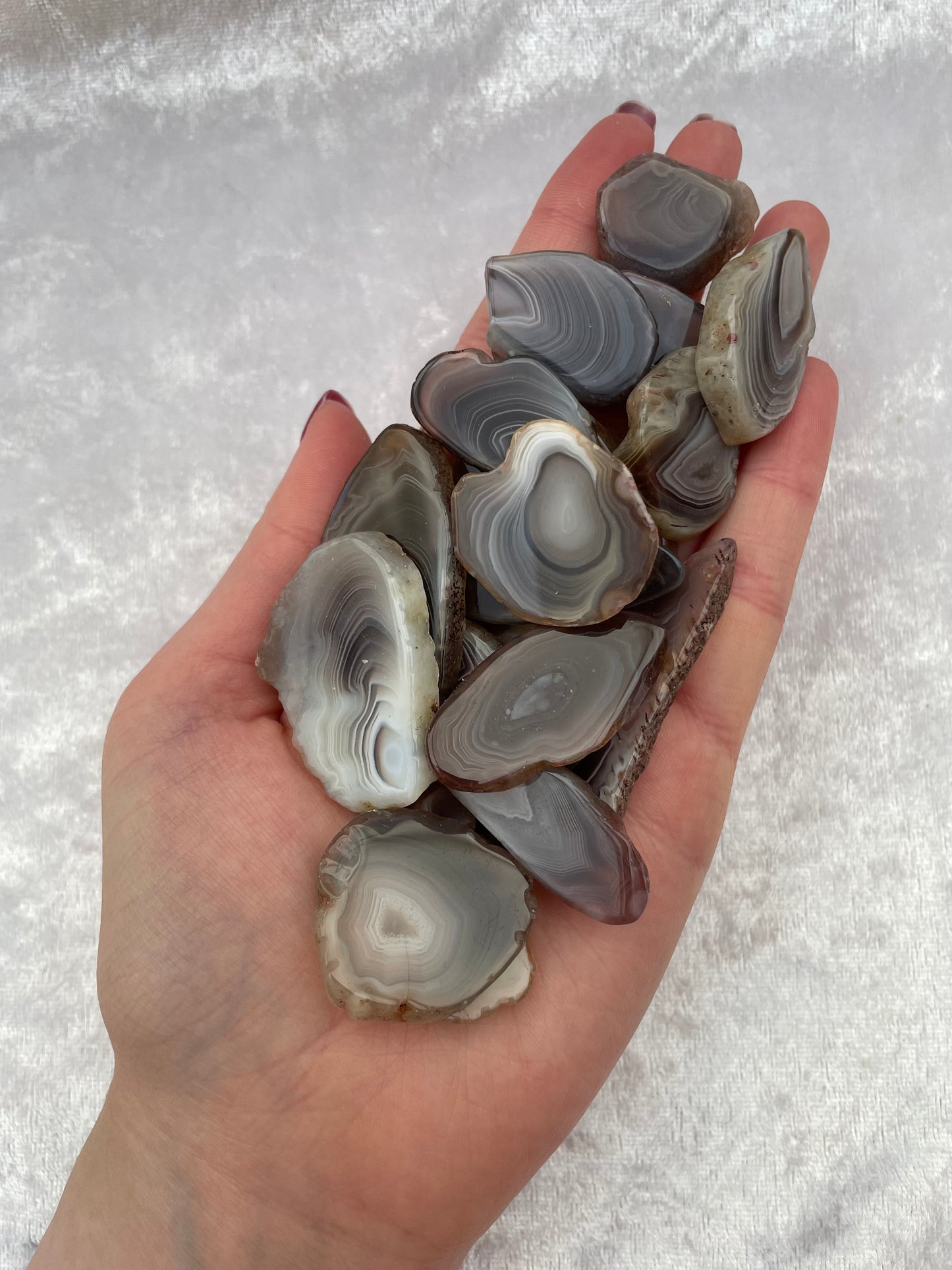 Botswana Agate Mini Slices