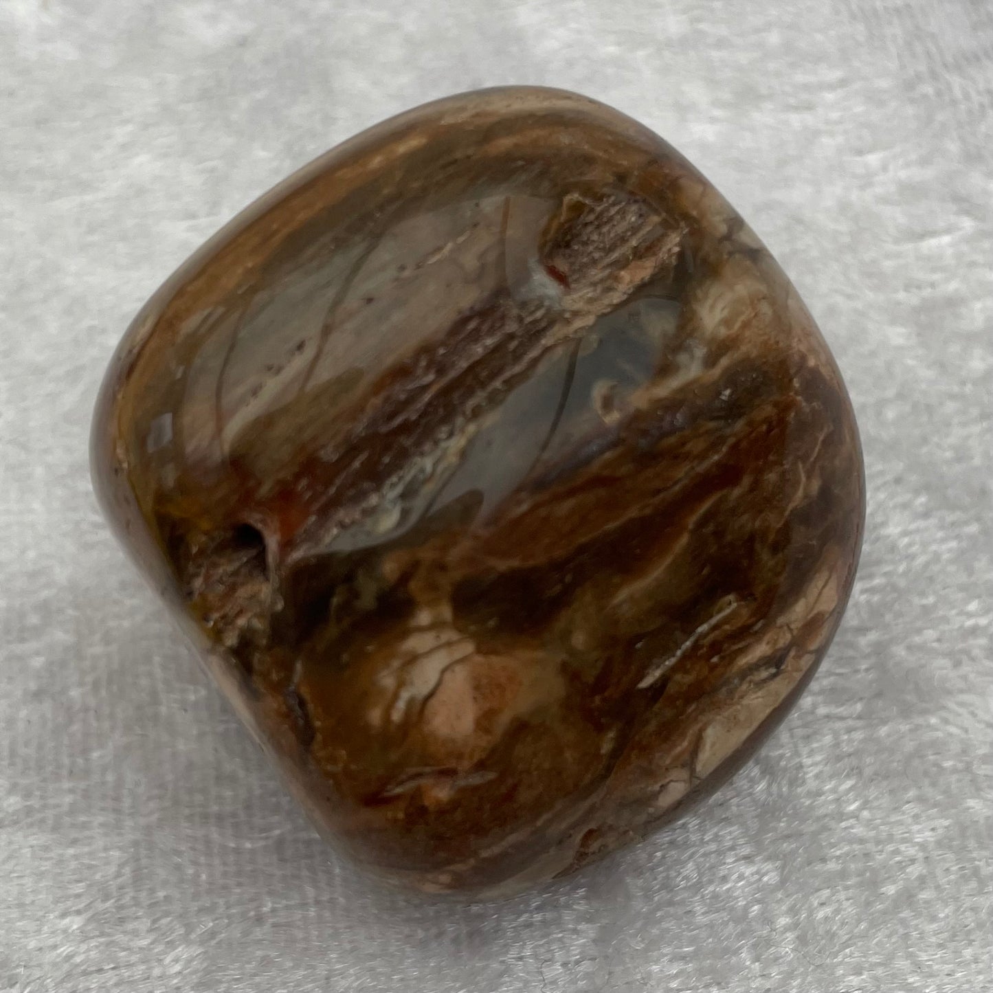 Petrified Wood Small Tumbled Freeform