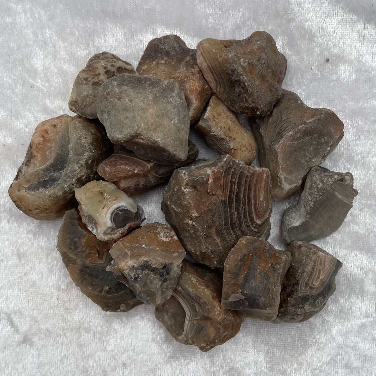 Rough Botswana Agate