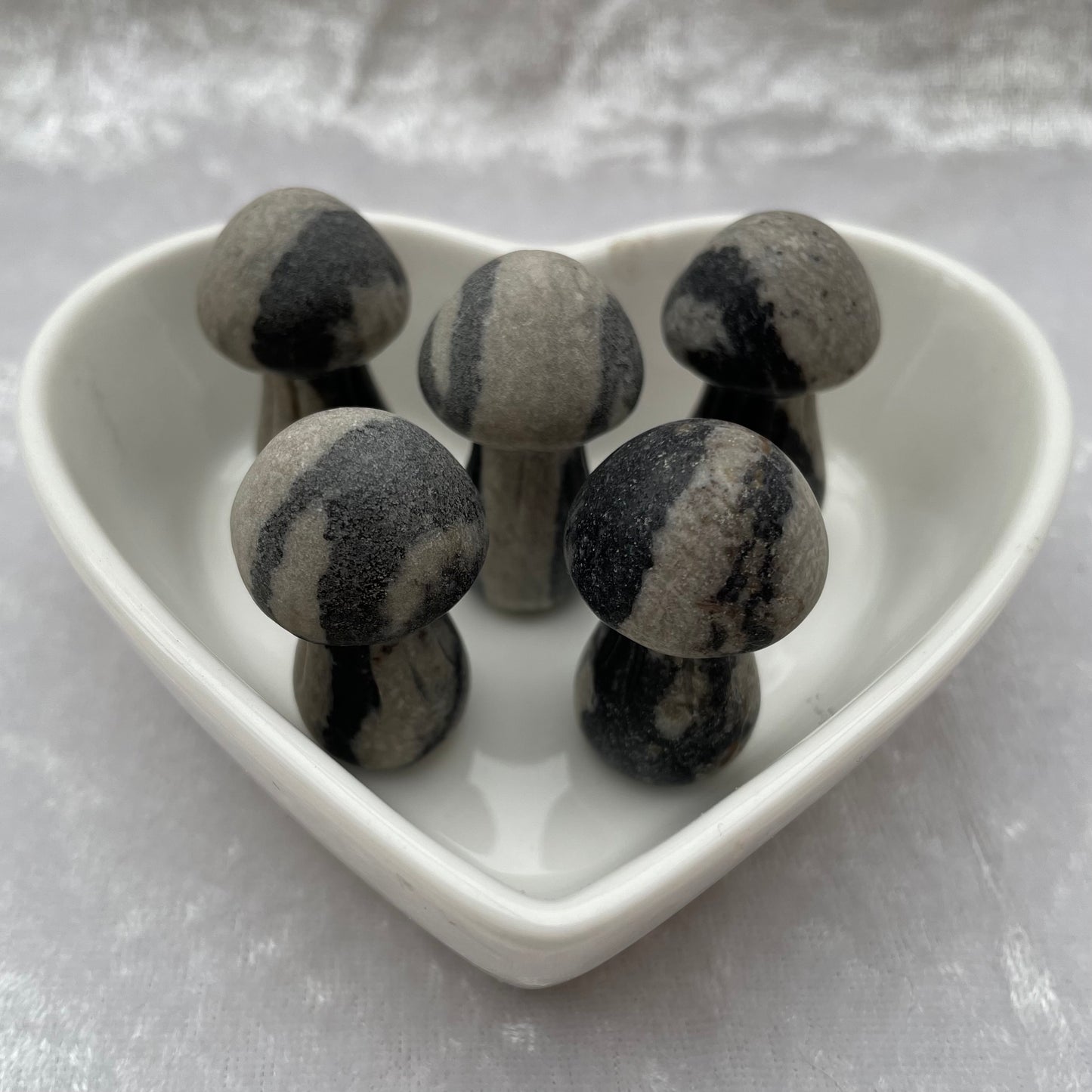 Mini Zebra Jasper Mushrooms