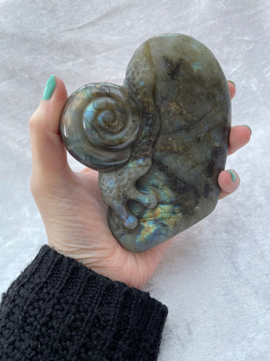 Labradorite Snail