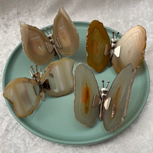 Brown Agate Slice Butterfly Magnets