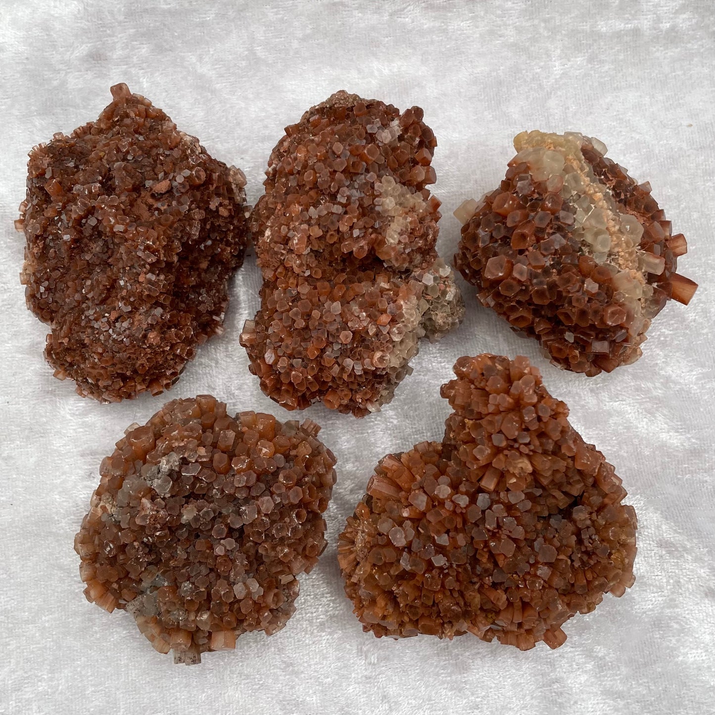 Aragonite Sputnik Clusters