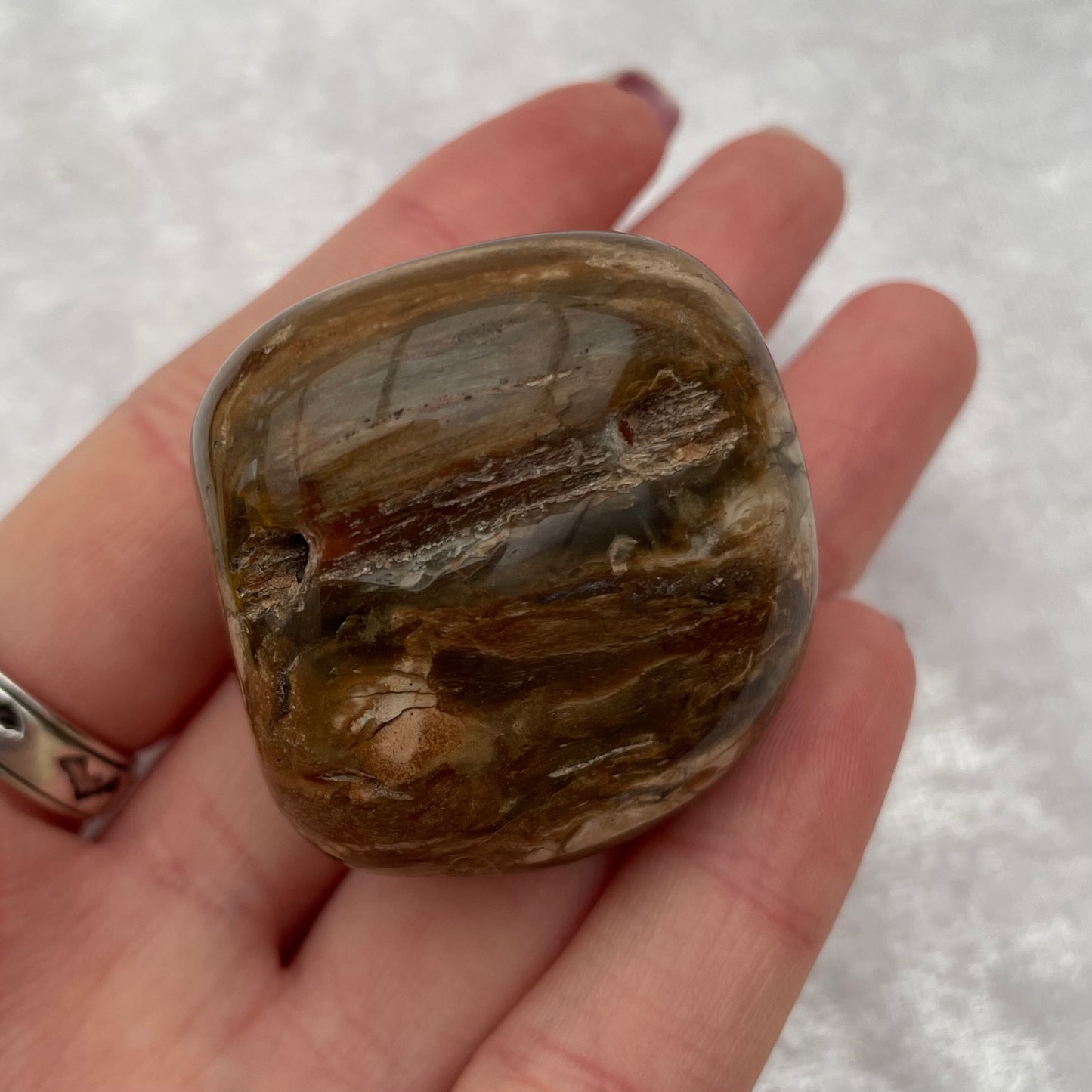 Petrified Wood Small Tumbled Freeform