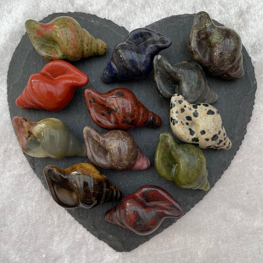 Mini Crystal Conch Shells