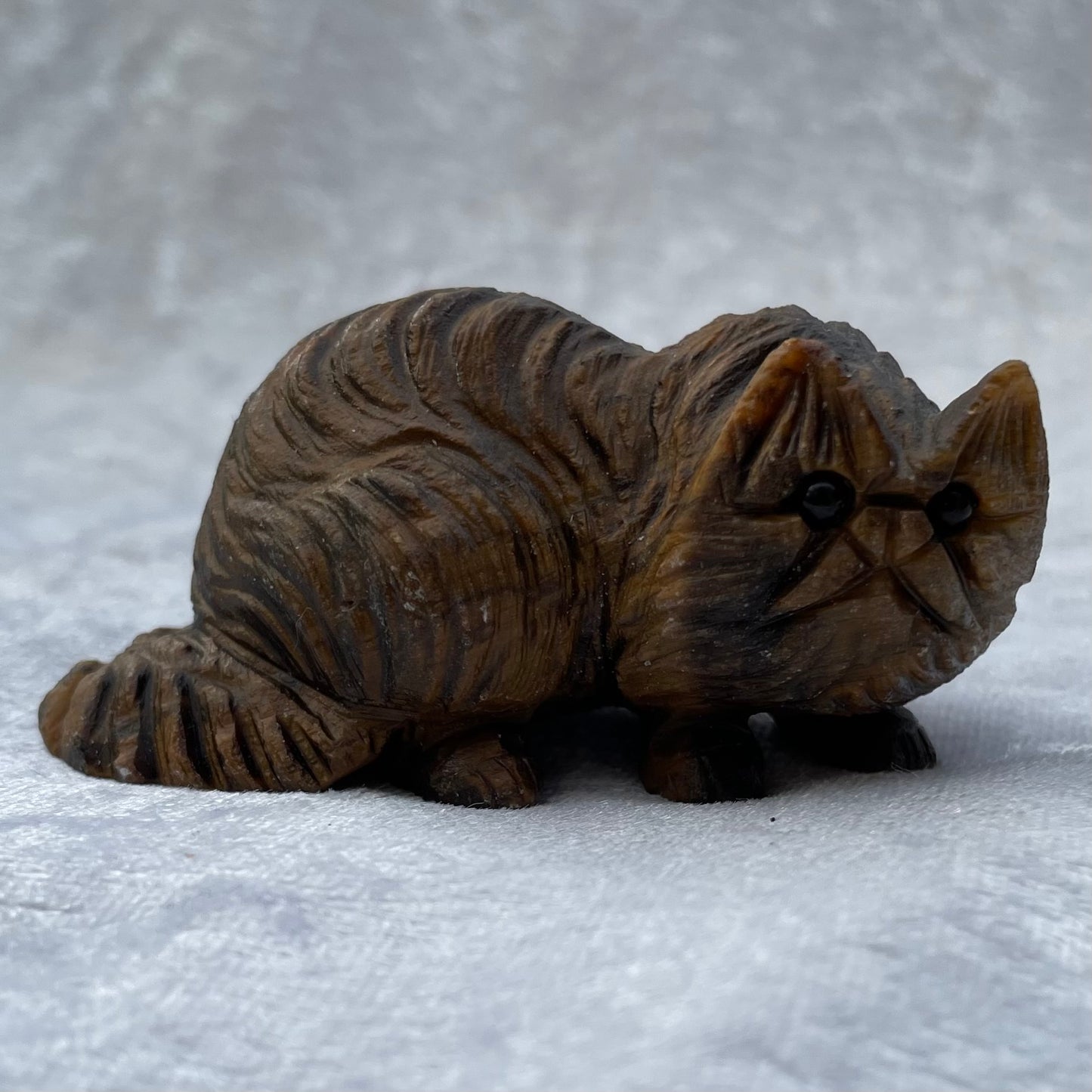 Tigers Eye Persian Cat