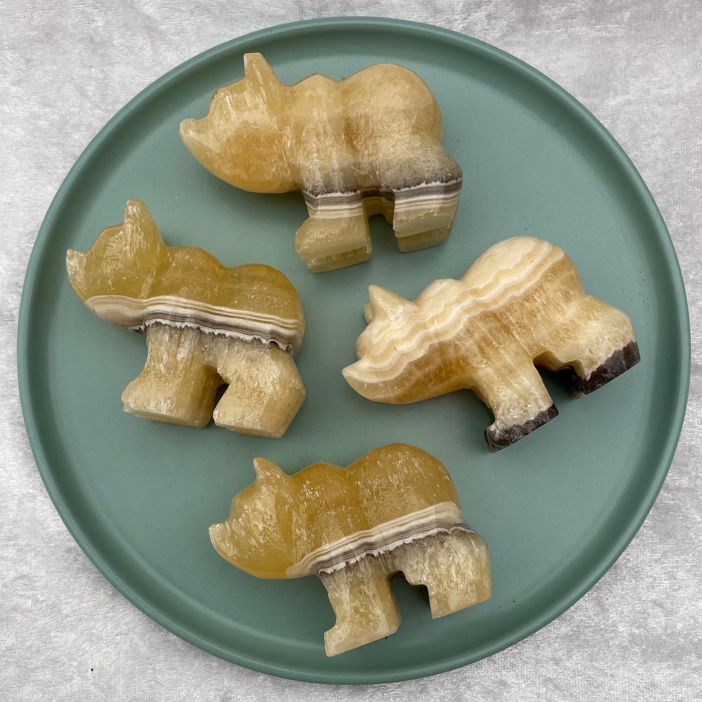 Zebra Onyx Bears