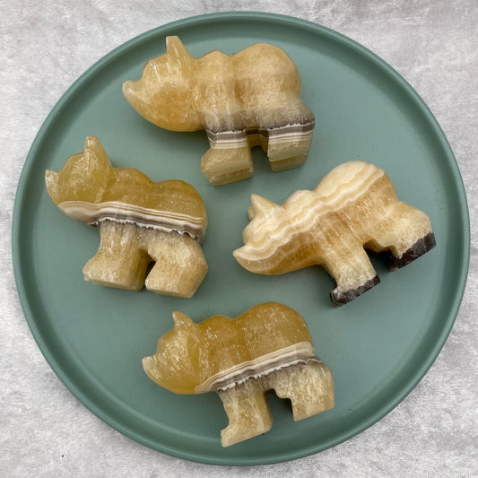 Zebra Onyx Bears