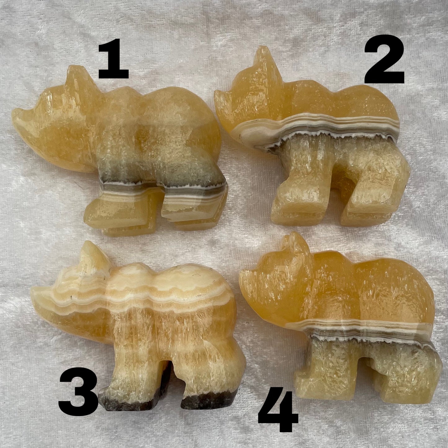Zebra Onyx Bears