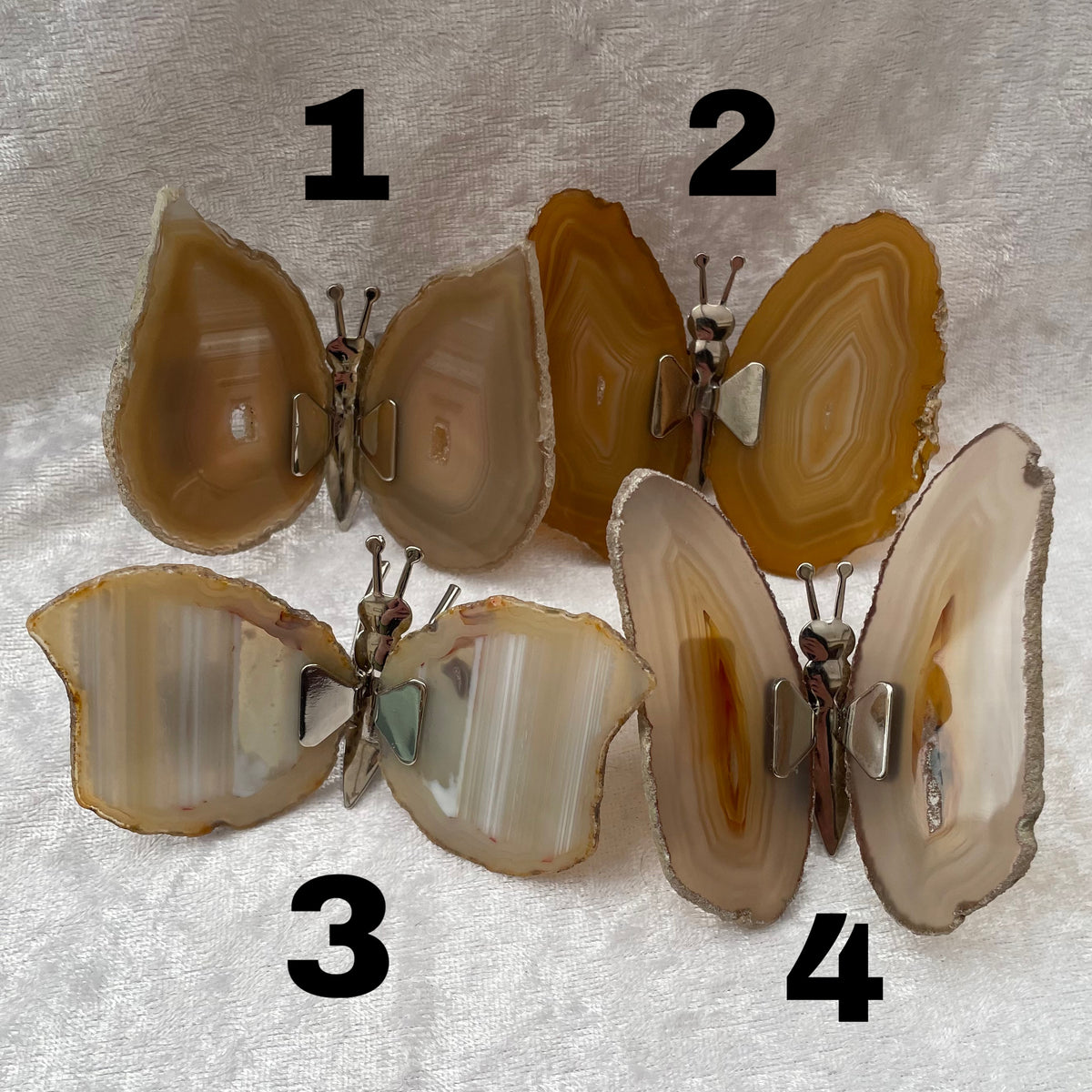 Brown Agate Slice Butterfly Magnets