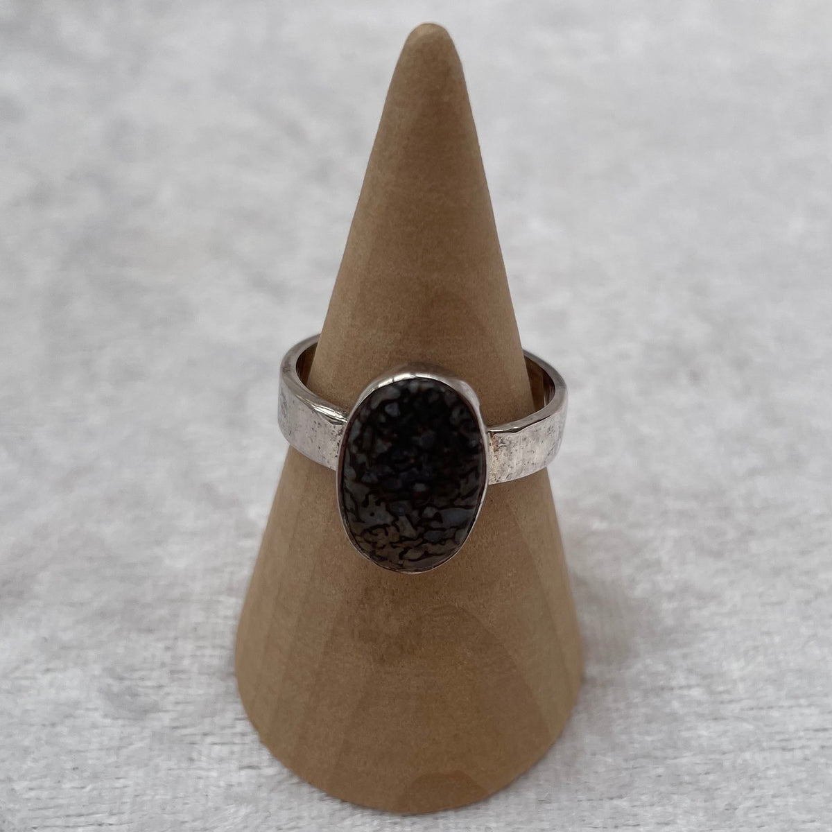 Fossil Dinosaur Bone Ring