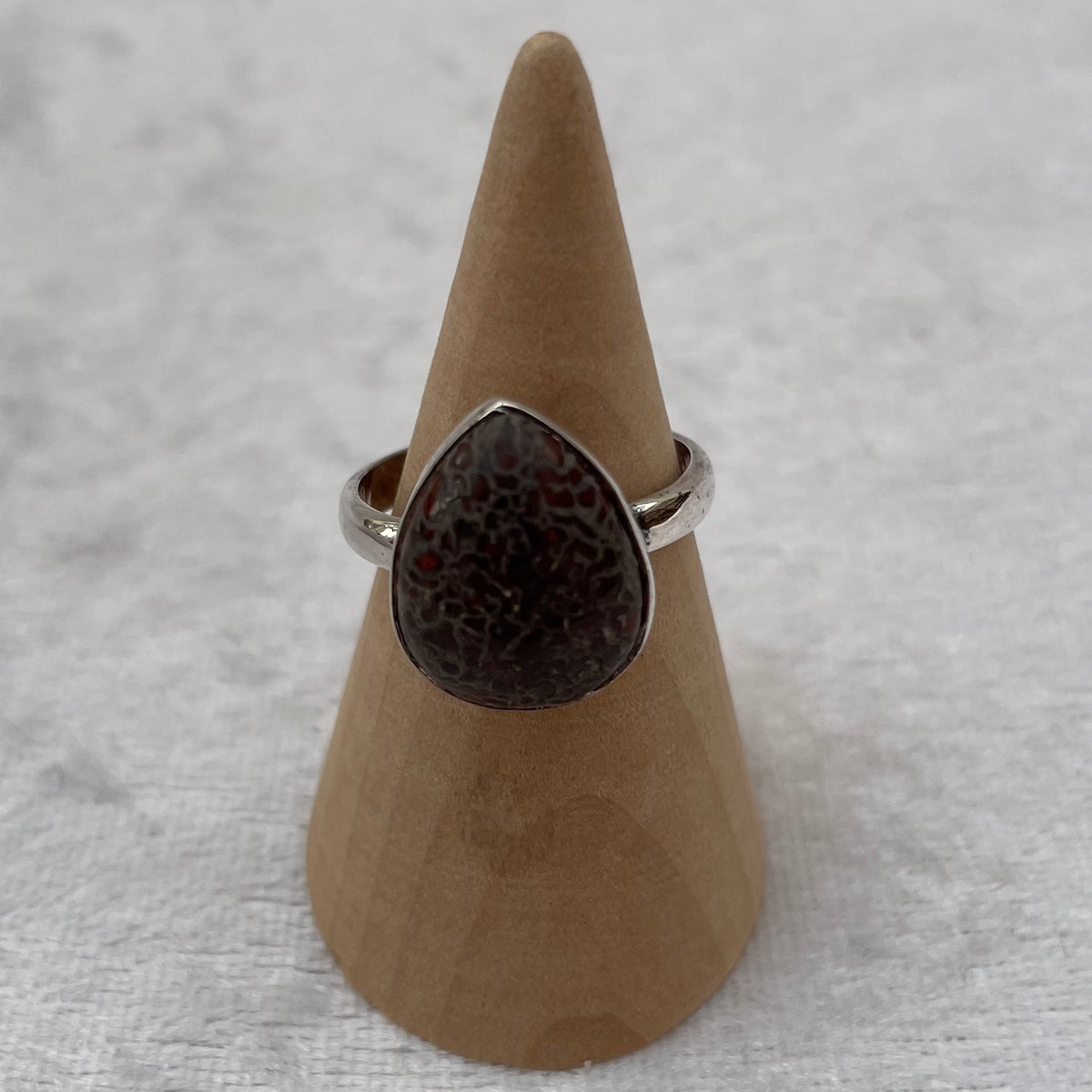 Fossil Dinosaur Bone Ring