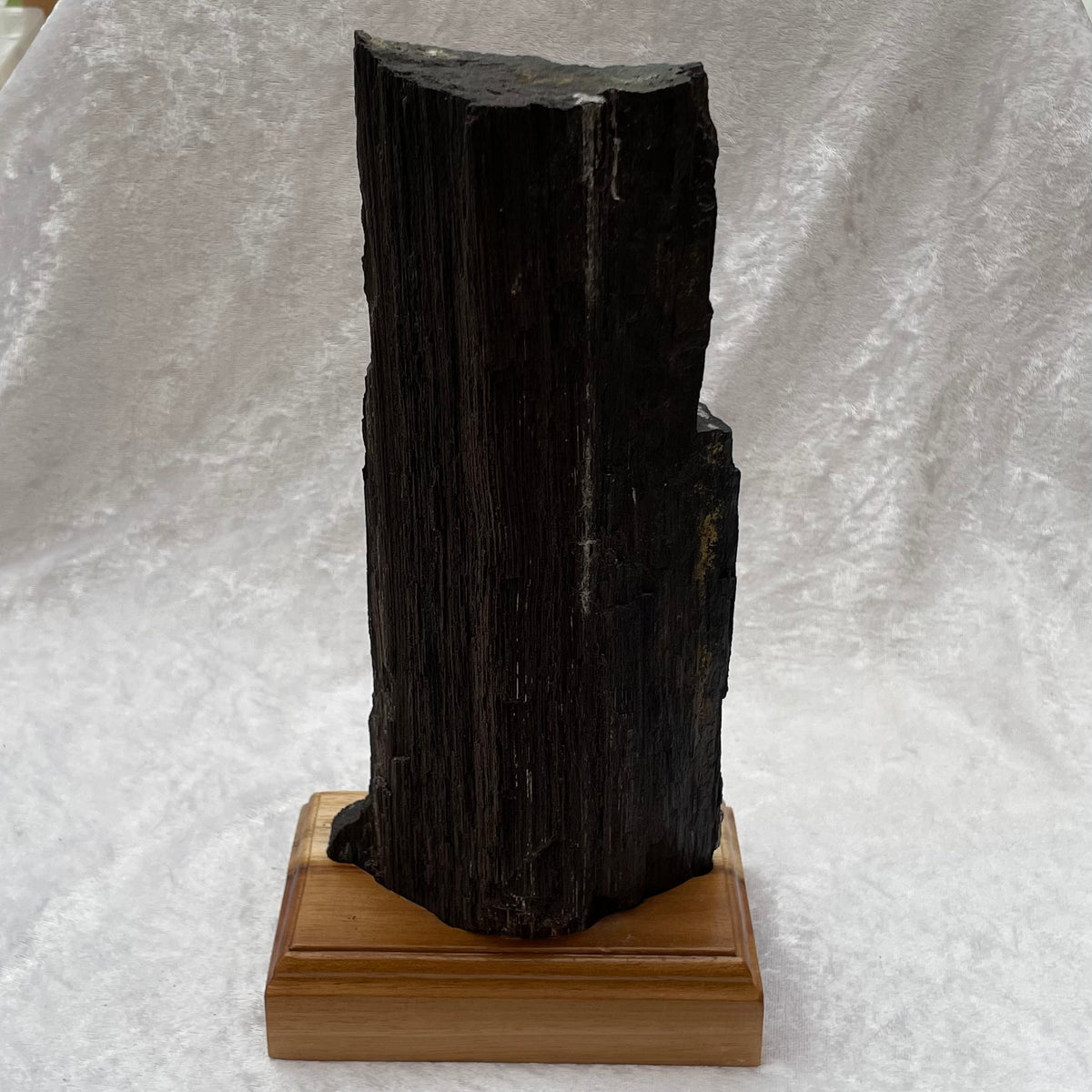 Large Sparkling Petrified Wood on Wooden Base Display Stand