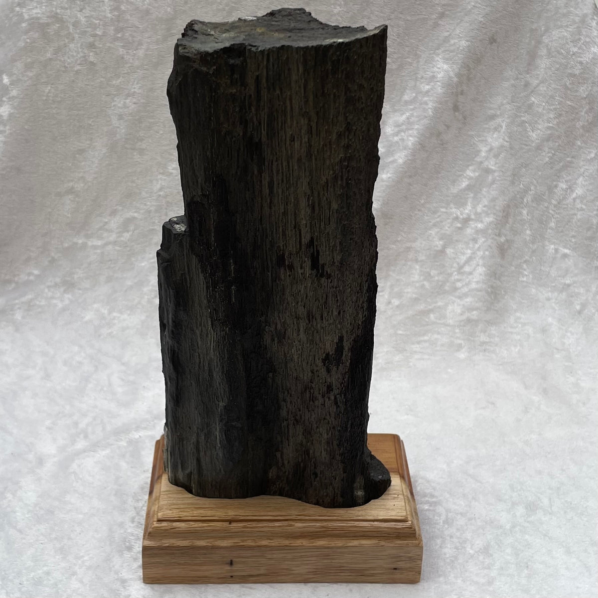 Large Sparkling Petrified Wood on Wooden Base Display Stand
