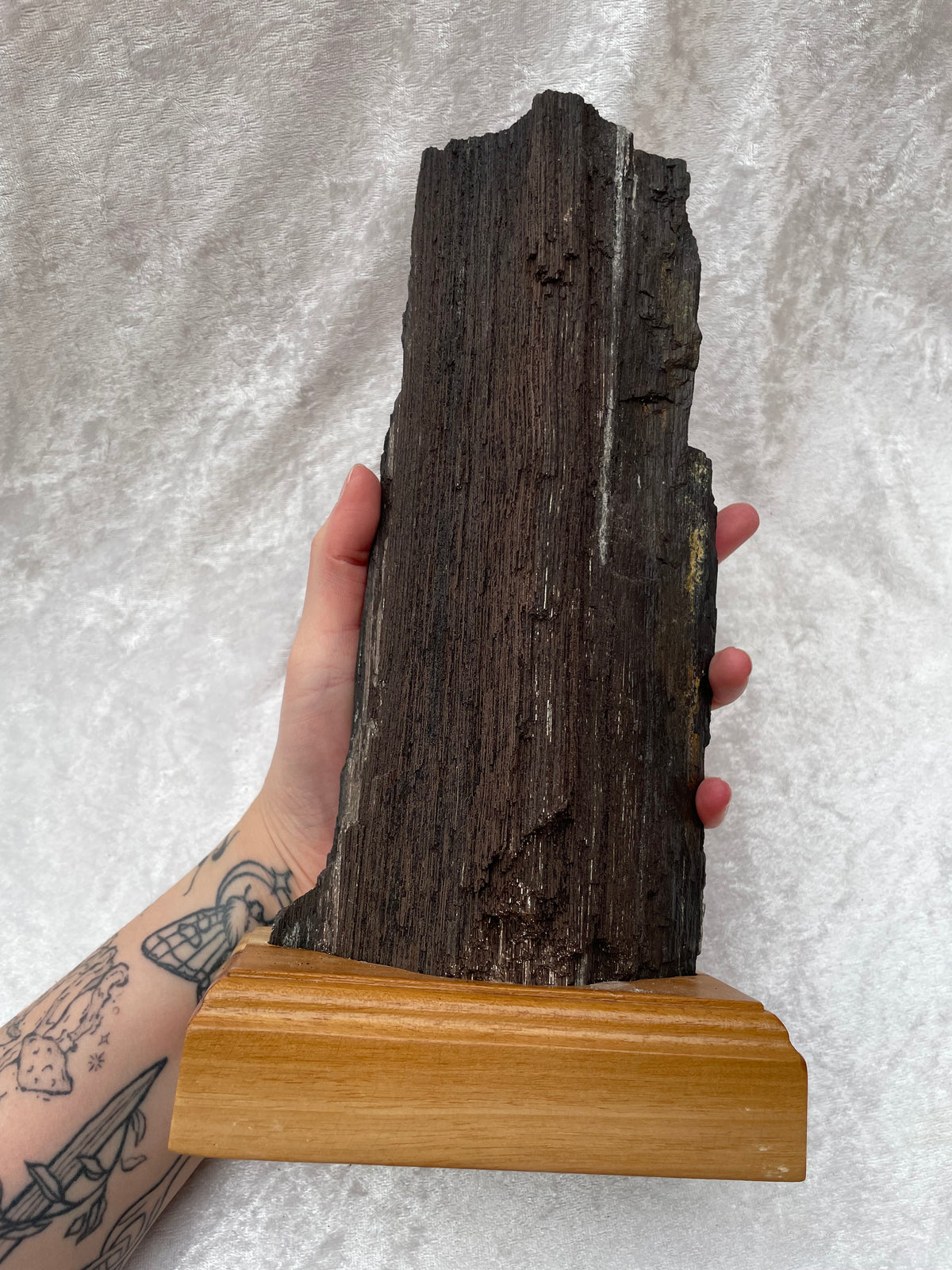 Large Sparkling Petrified Wood on Wooden Base Display Stand