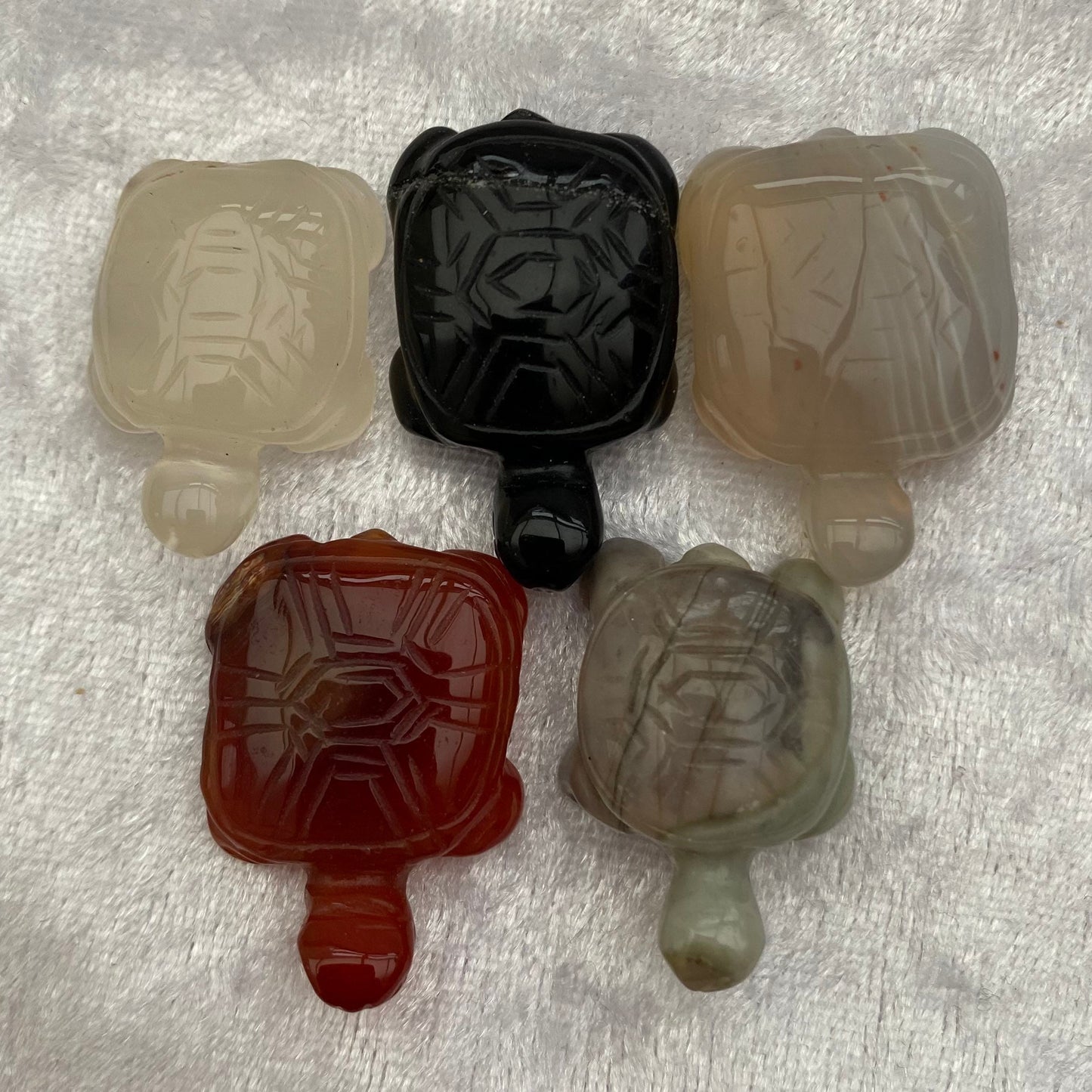 Mini Crystal tortoises