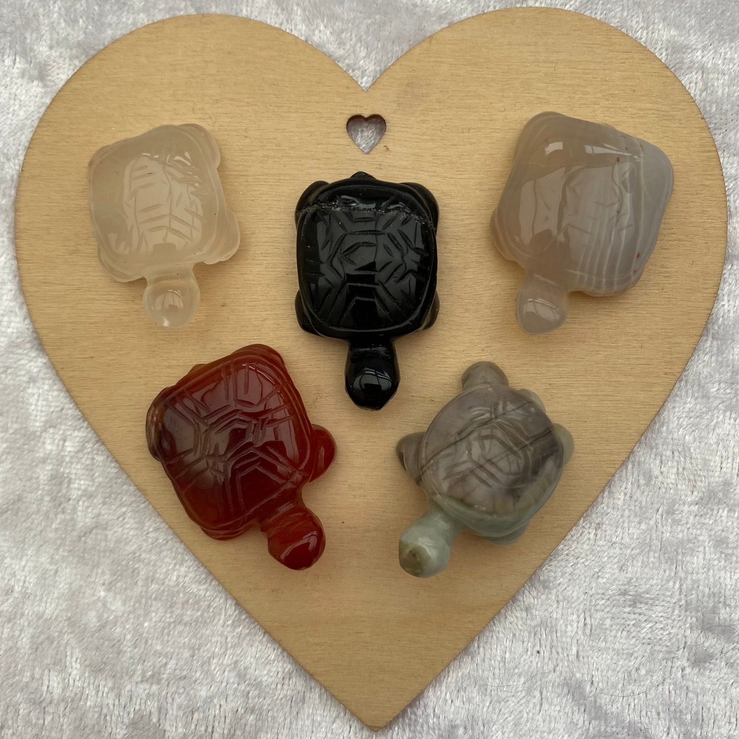 Mini Crystal tortoises
