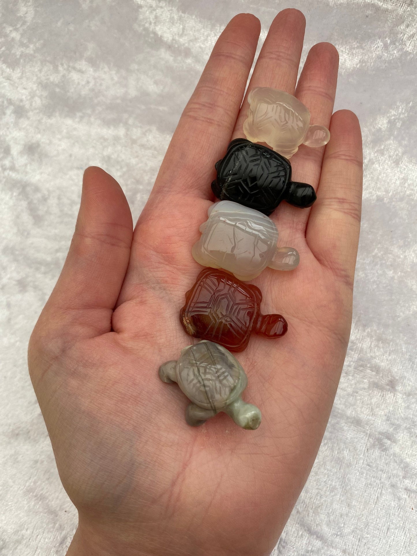 Mini Crystal tortoises