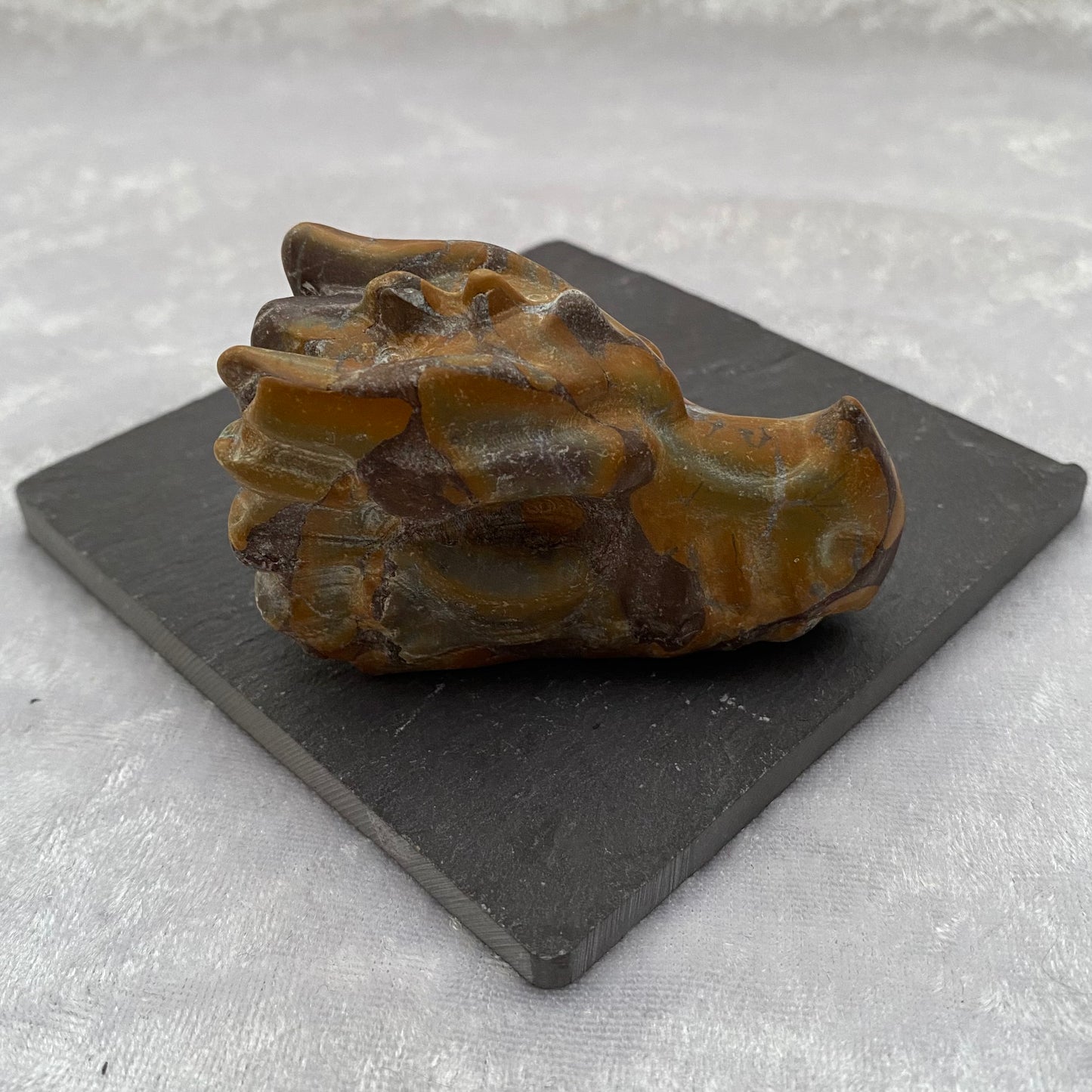 Bamboo Jasper Dragon Head