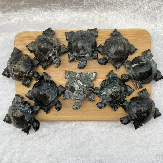 Black Marble Turtles