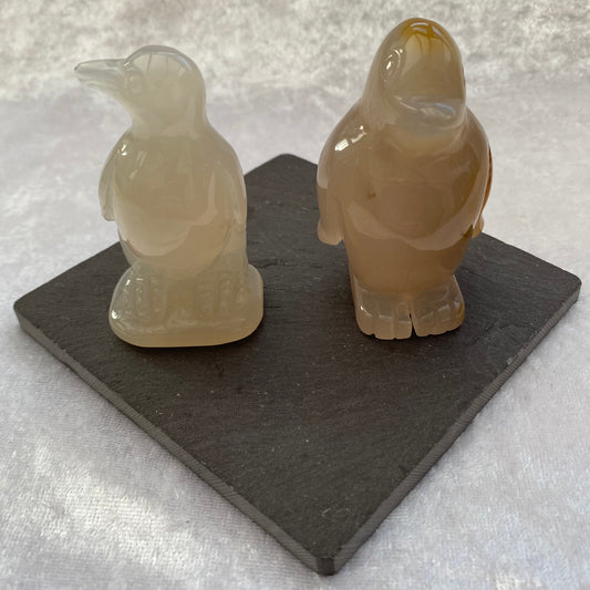 Grey Agate penguins