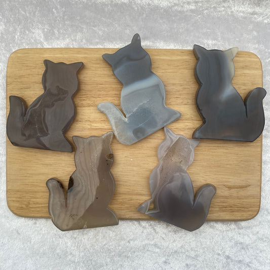 Grey Agate cat slices