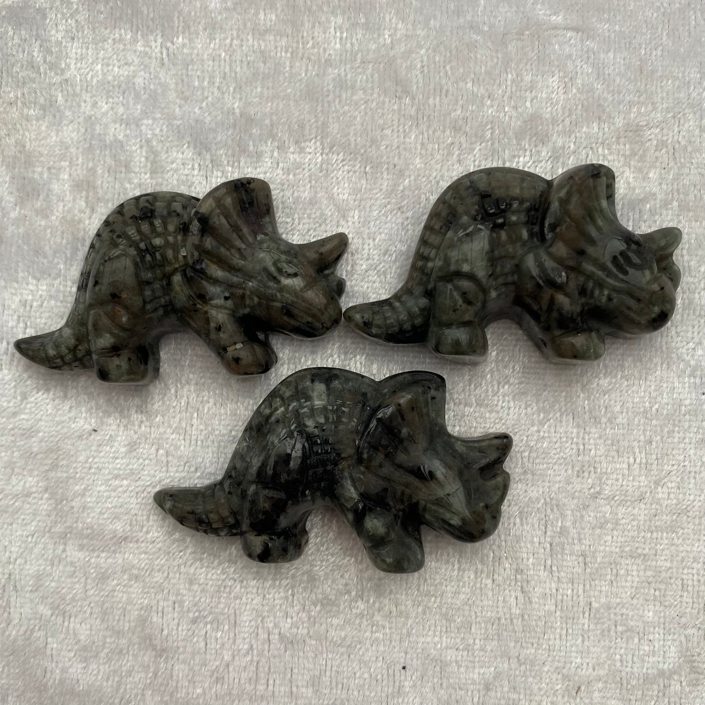 Yooperlite triceratops dinosaurs