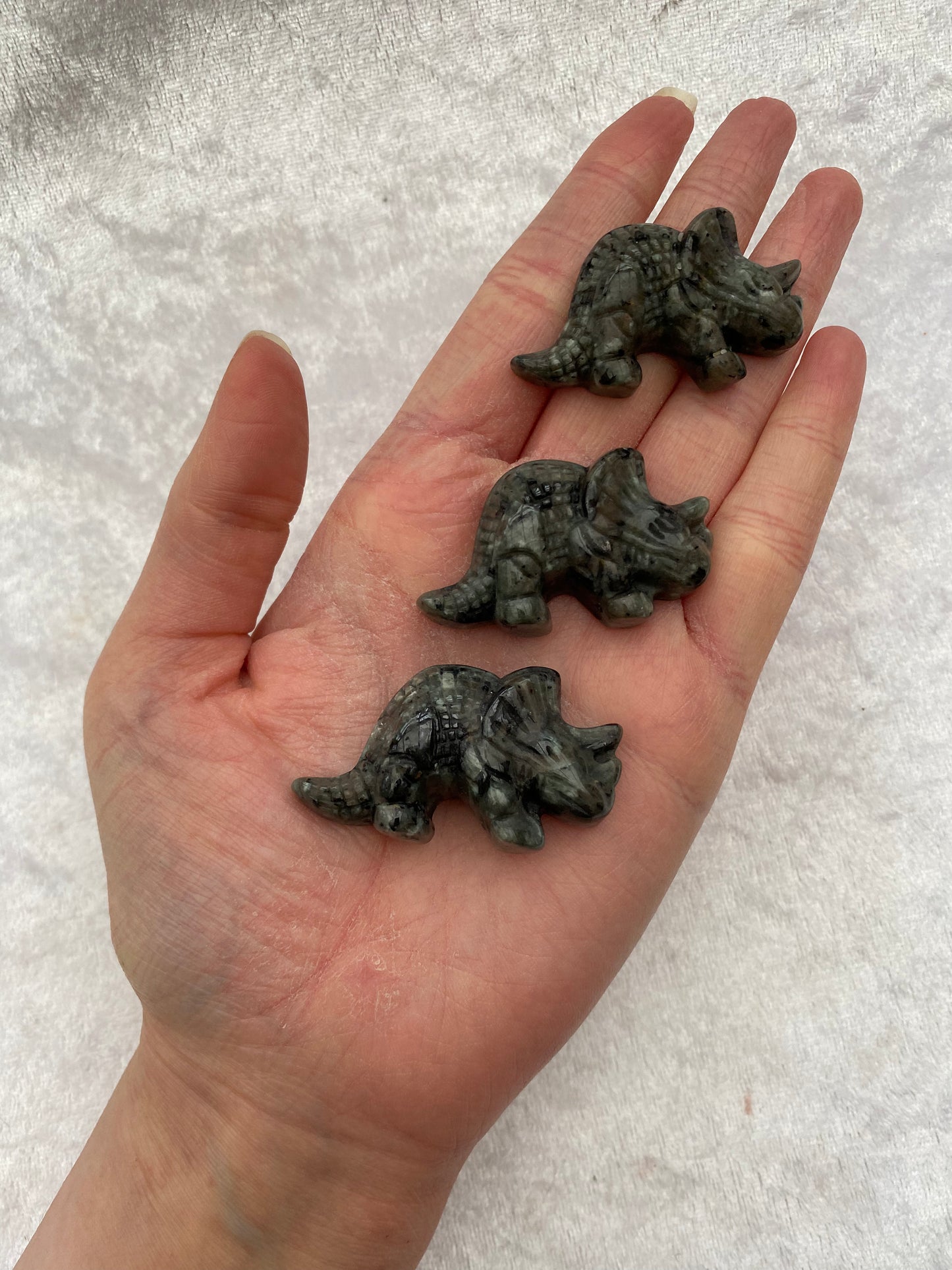 Yooperlite triceratops dinosaurs