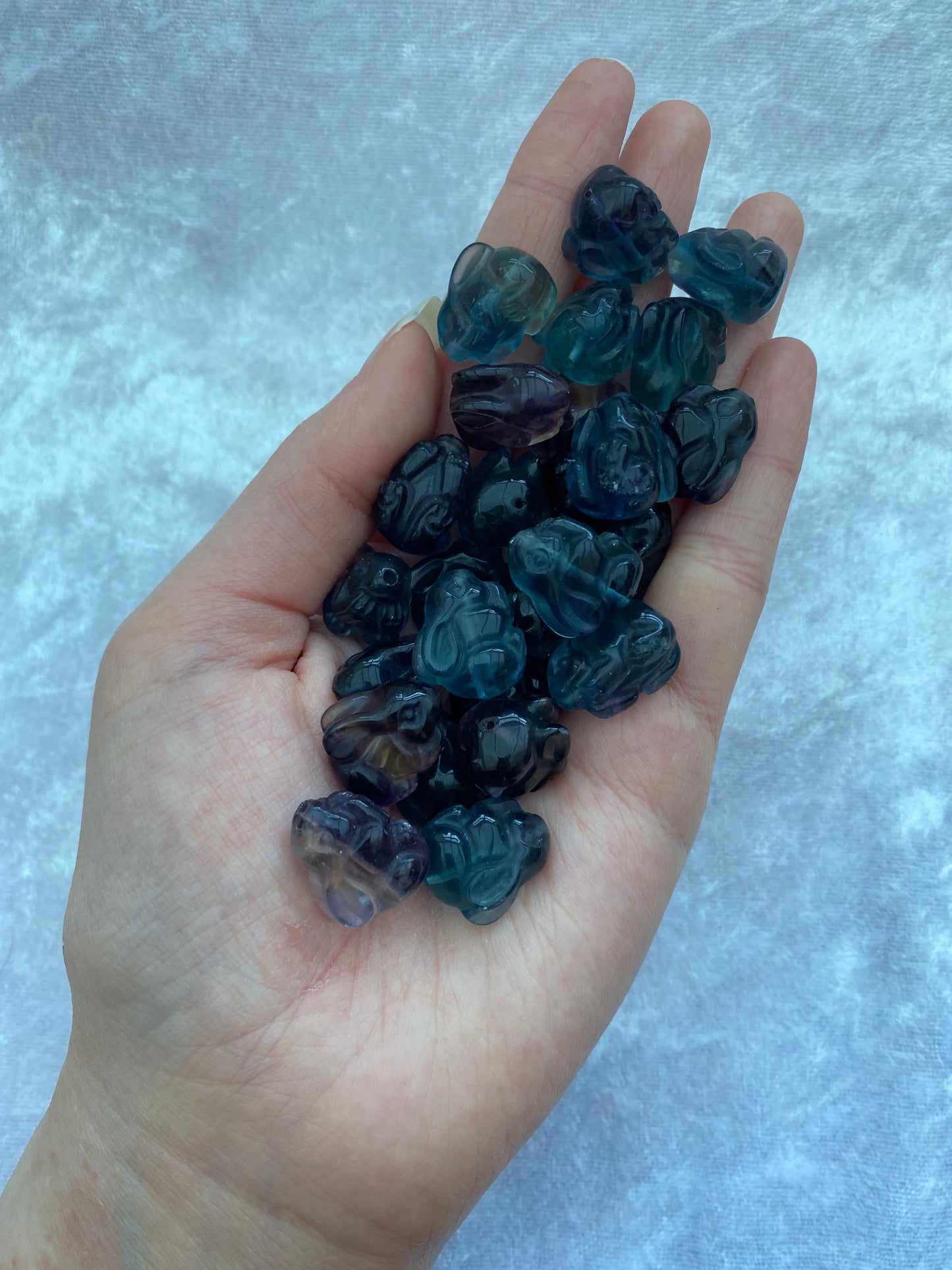 Mini Fluorite bunny rabbits